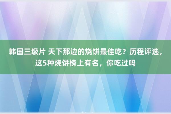 韩国三级片 天下那边的烧饼最佳吃？历程评选，这5种烧饼榜上有名，你吃过吗