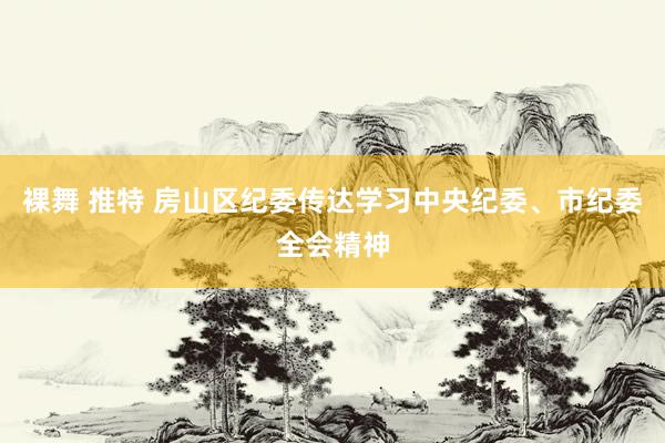 裸舞 推特 房山区纪委传达学习中央纪委、市纪委全会精神