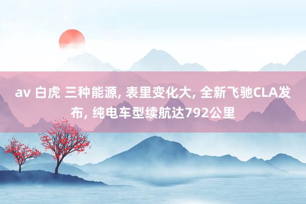 av 白虎 三种能源， 表里变化大， 全新飞驰CLA发布， 纯电车型续航达792公里