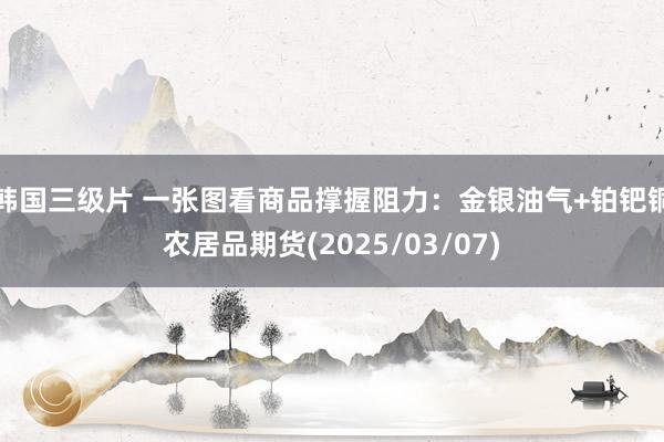 韩国三级片 一张图看商品撑握阻力：金银油气+铂钯铜农居品期货(2025/03/07)