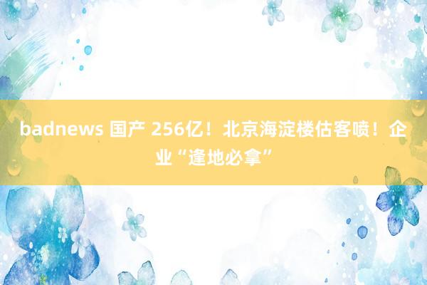 badnews 国产 256亿！北京海淀楼估客喷！企业“逢地必拿”