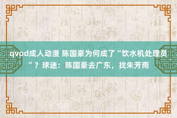 qvod成人动漫 陈国豪为何成了“饮水机处理员”？球迷：陈国豪去广东，找朱芳雨