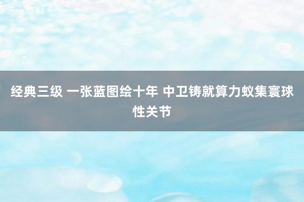 经典三级 一张蓝图绘十年 中卫铸就算力蚁集寰球性关节