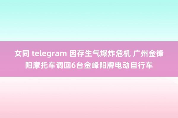 女同 telegram 因存生气爆炸危机 广州金锋阳摩托车调回6台金峰阳牌电动自行车
