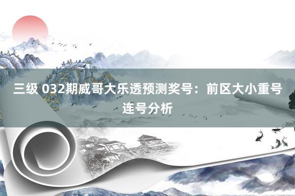 三级 032期威哥大乐透预测奖号：前区大小重号连号分析