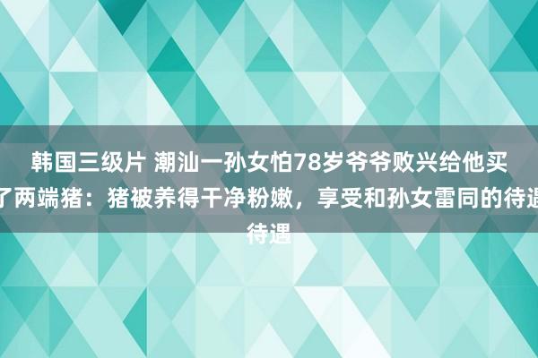 韩国三级片 潮汕一孙女怕78岁爷爷败兴给他买了两端猪：猪被养得干净粉嫩，享受和孙女雷同的待遇