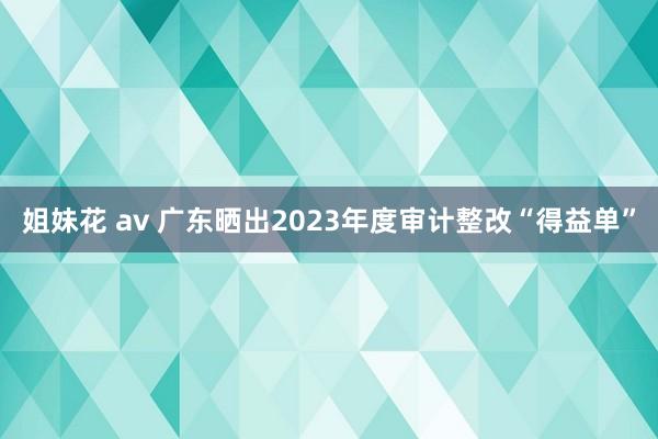 姐妹花 av 广东晒出2023年度审计整改“得益单”