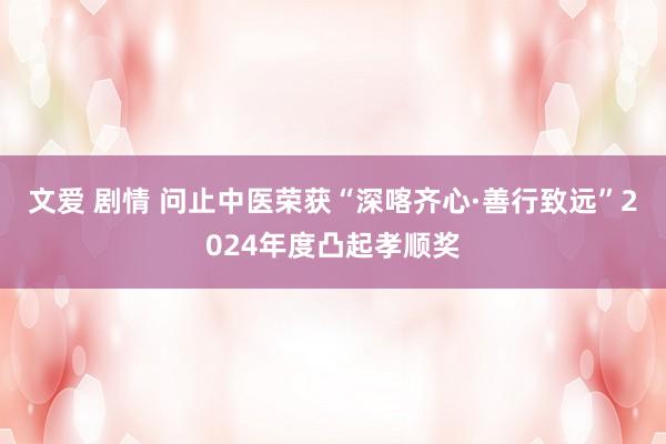 文爱 剧情 问止中医荣获“深喀齐心·善行致远”2024年度凸起孝顺奖
