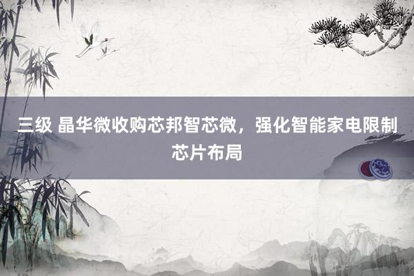 三级 晶华微收购芯邦智芯微，强化智能家电限制芯片布局