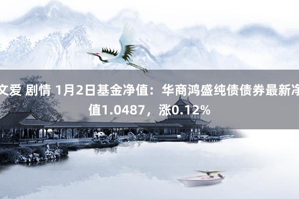 文爱 剧情 1月2日基金净值：华商鸿盛纯债债券最新净值1.0487，涨0.12%