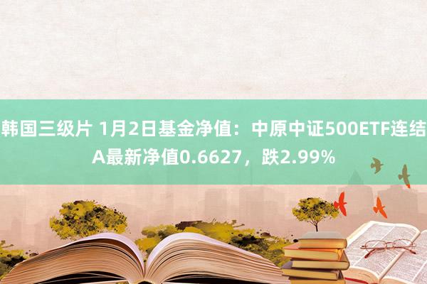 韩国三级片 1月2日基金净值：中原中证500ETF连结A最新净值0.6627，跌2.99%