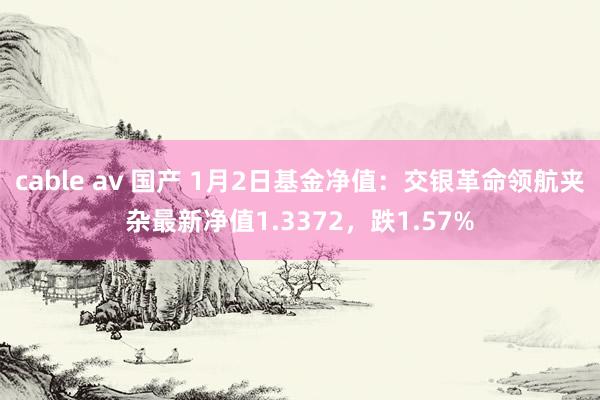 cable av 国产 1月2日基金净值：交银革命领航夹杂最新净值1.3372，跌1.57%