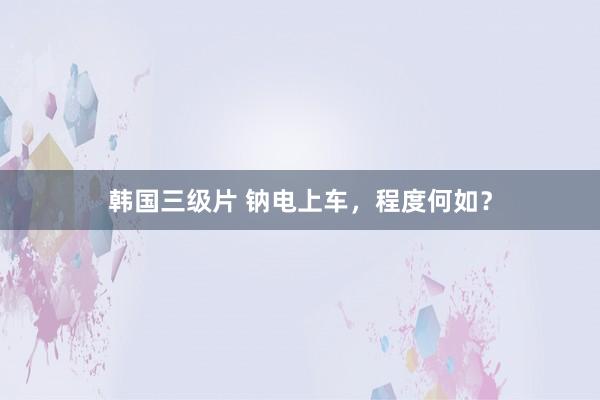 韩国三级片 钠电上车，程度何如？