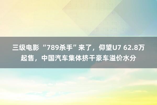 三级电影 “789杀手”来了，仰望U7 62.8万起售，中国汽车集体挤干豪车溢价水分