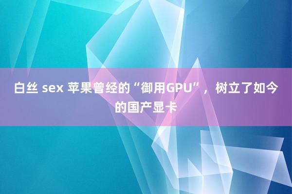 白丝 sex 苹果曾经的“御用GPU”，树立了如今的国产显卡