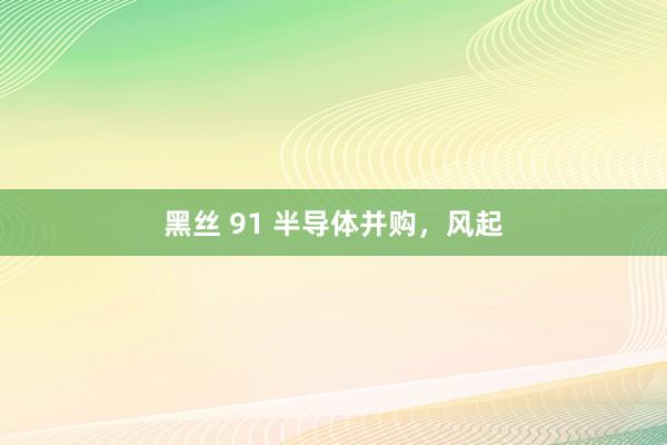 黑丝 91 半导体并购，风起