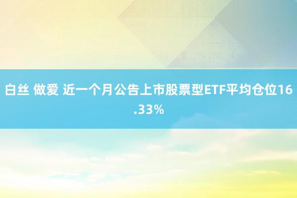 白丝 做爱 近一个月公告上市股票型ETF平均仓位16.33%