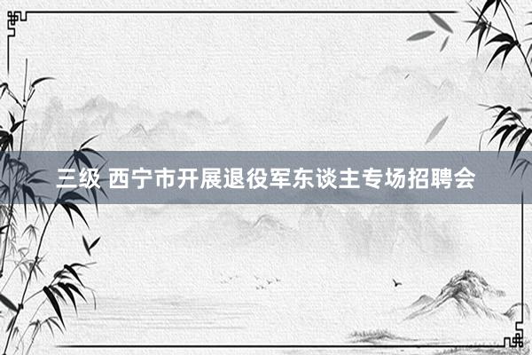 三级 西宁市开展退役军东谈主专场招聘会