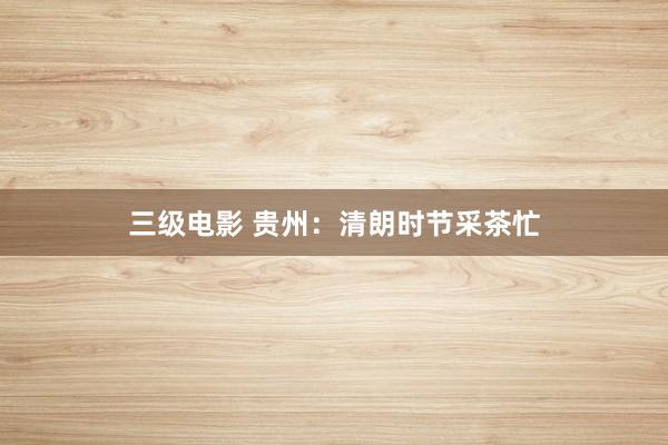 三级电影 贵州：清朗时节采茶忙