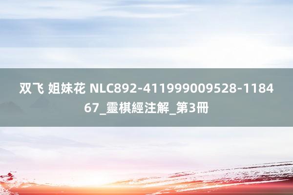 双飞 姐妹花 NLC892-411999009528-118467_靈棋經注解_第3冊