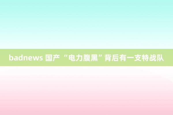 badnews 国产 “电力腹黑”背后有一支特战队