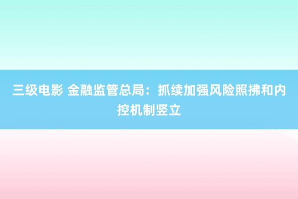 三级电影 金融监管总局：抓续加强风险照拂和内控机制竖立