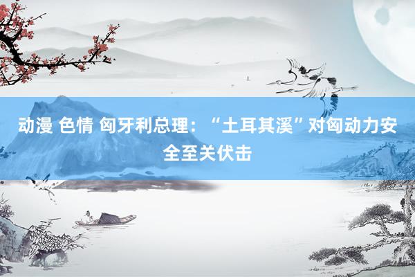 动漫 色情 匈牙利总理：“土耳其溪”对匈动力安全至关伏击
