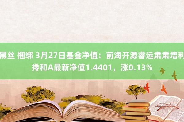 黑丝 捆绑 3月27日基金净值：前海开源睿远肃肃增利搀和A最新净值1.4401，涨0.13%