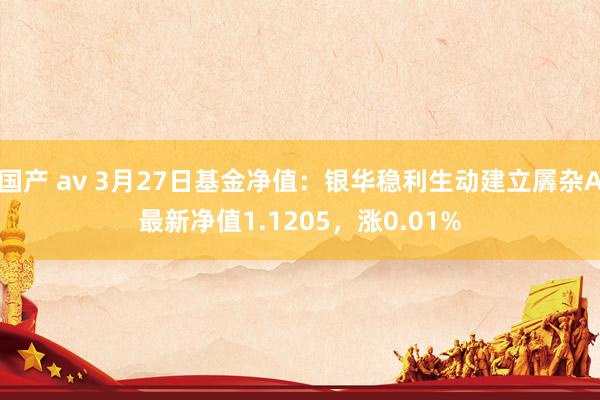 国产 av 3月27日基金净值：银华稳利生动建立羼杂A最新净值1.1205，涨0.01%