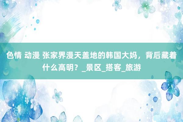 色情 动漫 张家界漫天盖地的韩国大妈，背后藏着什么高明？_景区_搭客_旅游