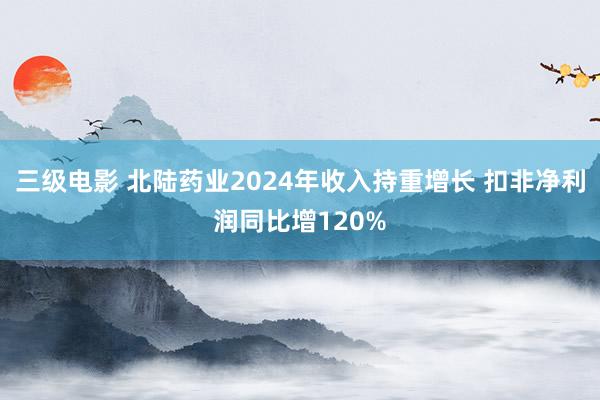 三级电影 北陆药业2024年收入持重增长 扣非净利润同比增120%