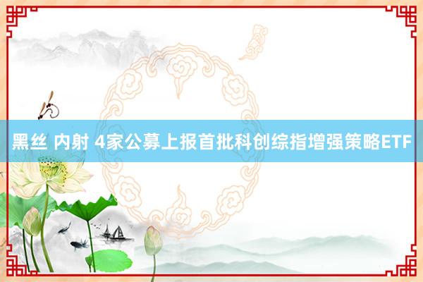 黑丝 内射 4家公募上报首批科创综指增强策略ETF