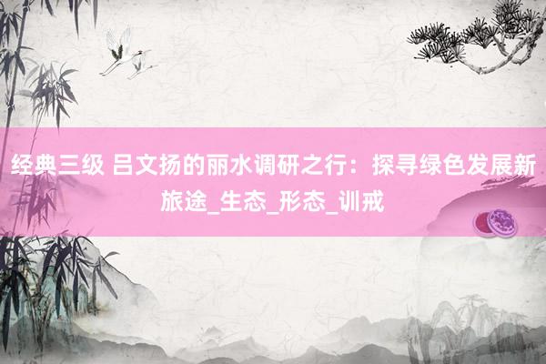经典三级 吕文扬的丽水调研之行：探寻绿色发展新旅途_生态_形态_训戒