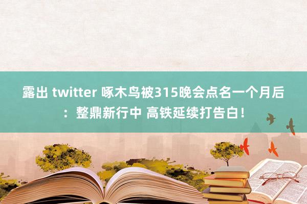 露出 twitter 啄木鸟被315晚会点名一个月后：整鼎新行中 高铁延续打告白！