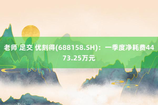 老师 足交 优刻得(688158.SH)：一季度净耗费4473.25万元