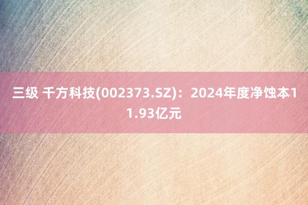 三级 千方科技(002373.SZ)：2024年度净蚀本11.93亿元