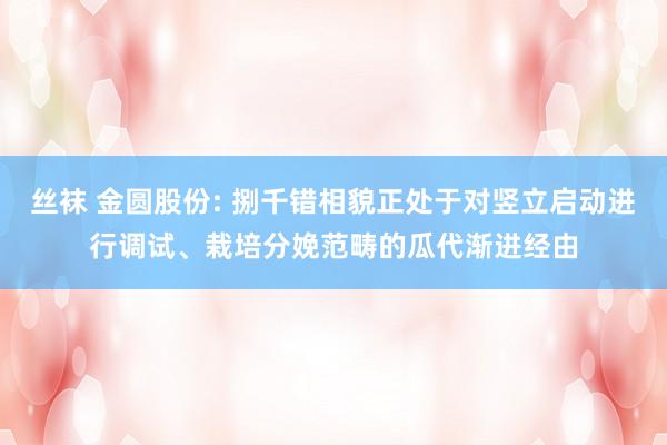 丝袜 金圆股份: 捌千错相貌正处于对竖立启动进行调试、栽培分娩范畴的瓜代渐进经由