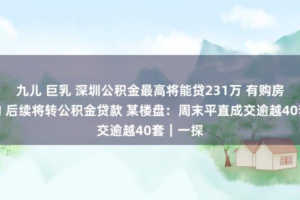 九儿 巨乳 深圳公积金最高将能贷231万 有购房者刚签约 后续将转公积金贷款 某楼盘：周末平直成交逾越40套｜一探