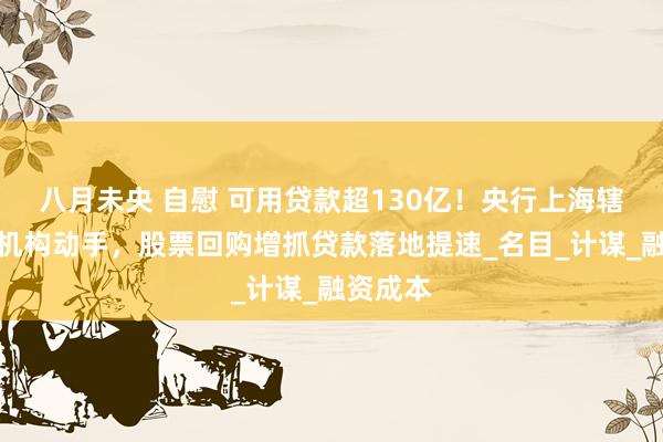 八月未央 自慰 可用贷款超130亿！央行上海辖内金融机构动手，股票回购增抓贷款落地提速_名目_计谋_融资成本