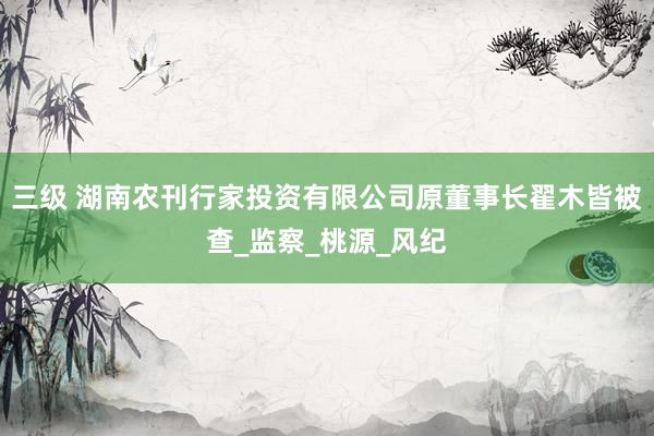 三级 湖南农刊行家投资有限公司原董事长翟木皆被查_监察_桃源_风纪