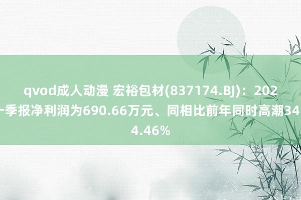 qvod成人动漫 宏裕包材(837174.BJ)：2025年一季报净利润为690.66万元、同相比前年同时高潮34.46%